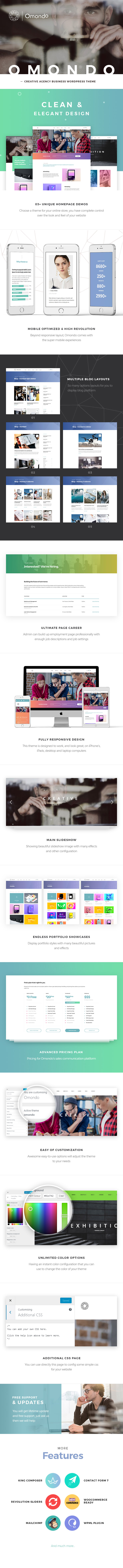 WordPress Theme