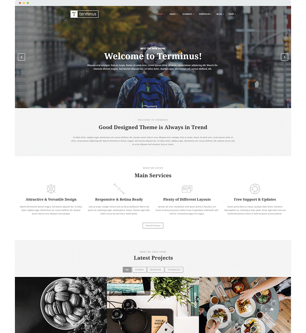 Terminus - Responsive Multi-Purpose WordPress Theme - 4