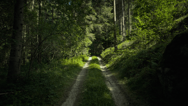 Testimonials 3D Pack 54657142 - Project for After Effects (Videohive)