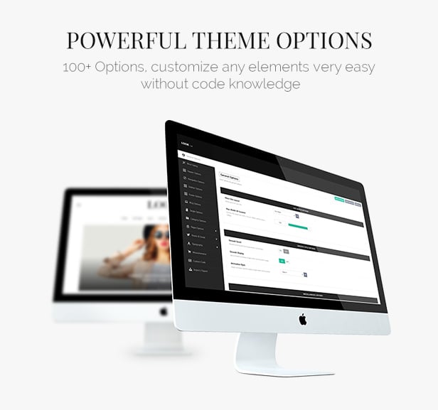 look wordpress theme options system
