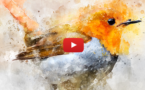 Watercolor Artist - Perfectum 2 - Photoshop Action - 3