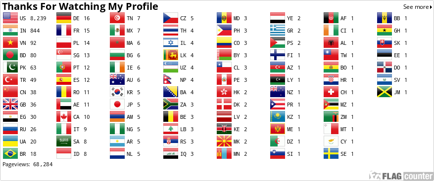 Flag Counter