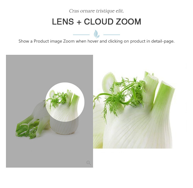 des_17_zoom