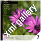 ADVANCED XML IMAGE GALLERY_v7
