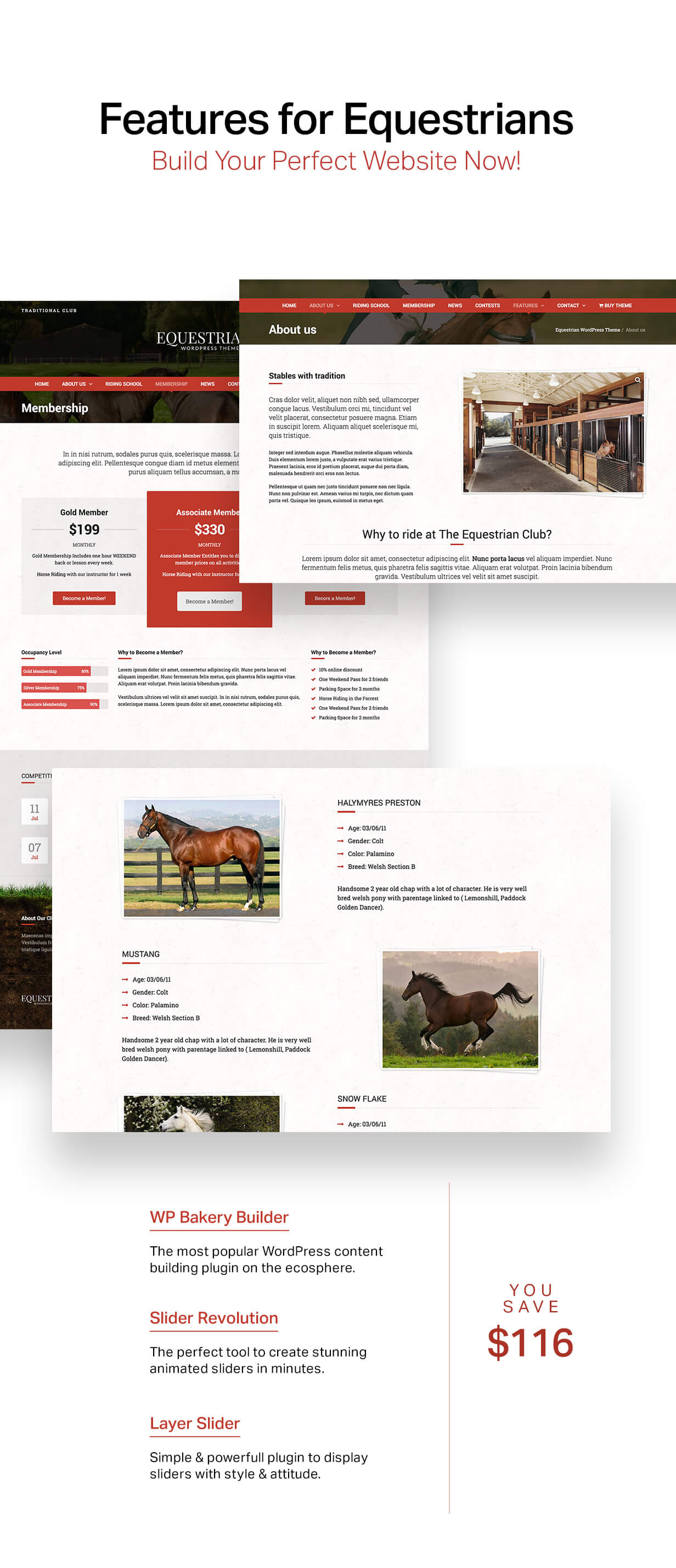 Equestrian - Tema WordPress Cavalos e Estábulos - 6