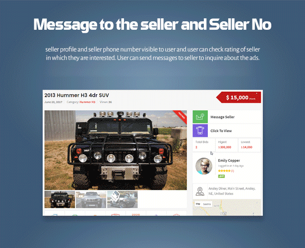 message to the seller on car ads