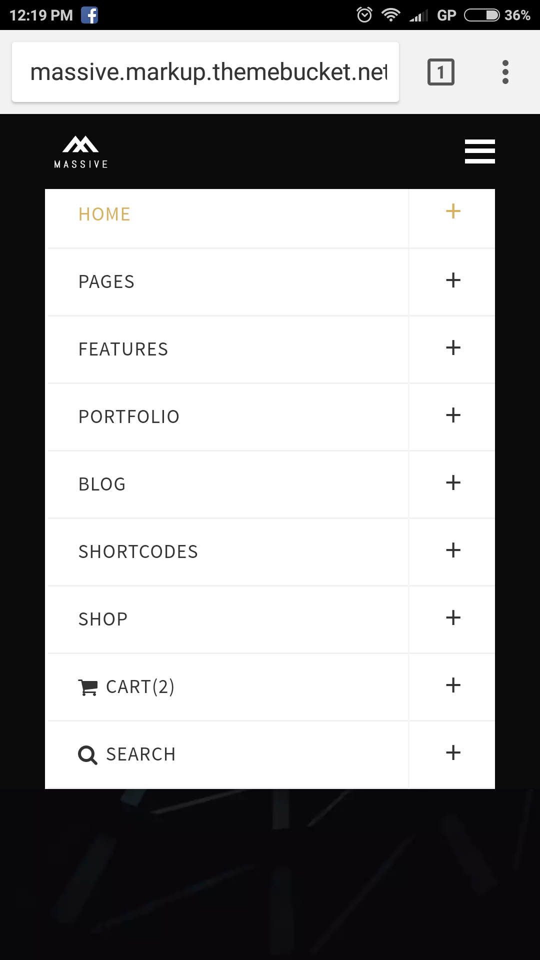 Massive HTML Mobile Screenshot