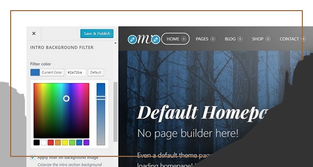Colorizing page intro in theme customizer