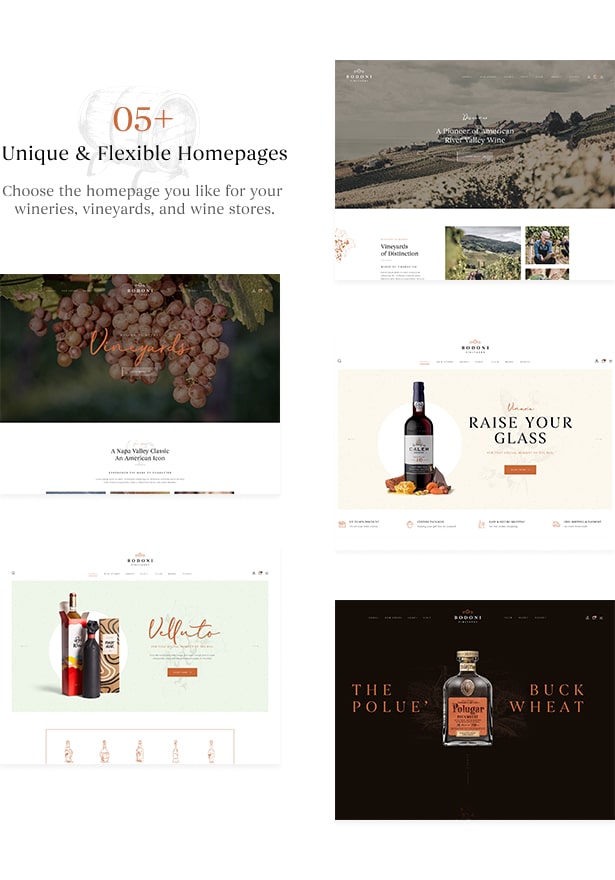 Bodoni - Wine Shop & Vineyard WordPress Theme - Stunning Premade Wine Homepage Websites