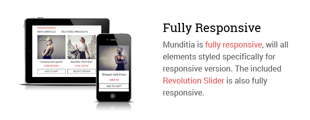Munditia - Responsive Ecommerce WordPress Theme - 4