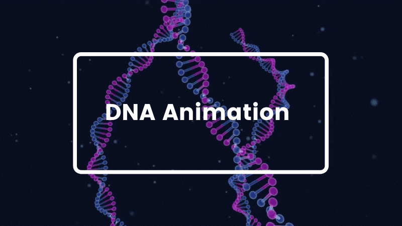 MarvyPro - Background Animations for Elementor - 15