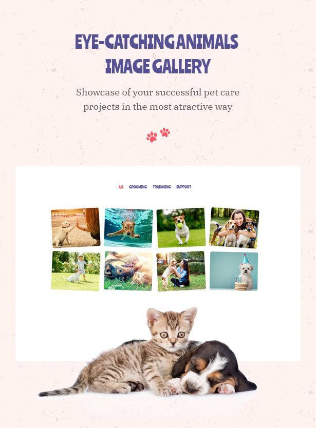 Petie - Pet Care Center & Veterinary WordPress Theme Eye Catching Animals Image Galleru
