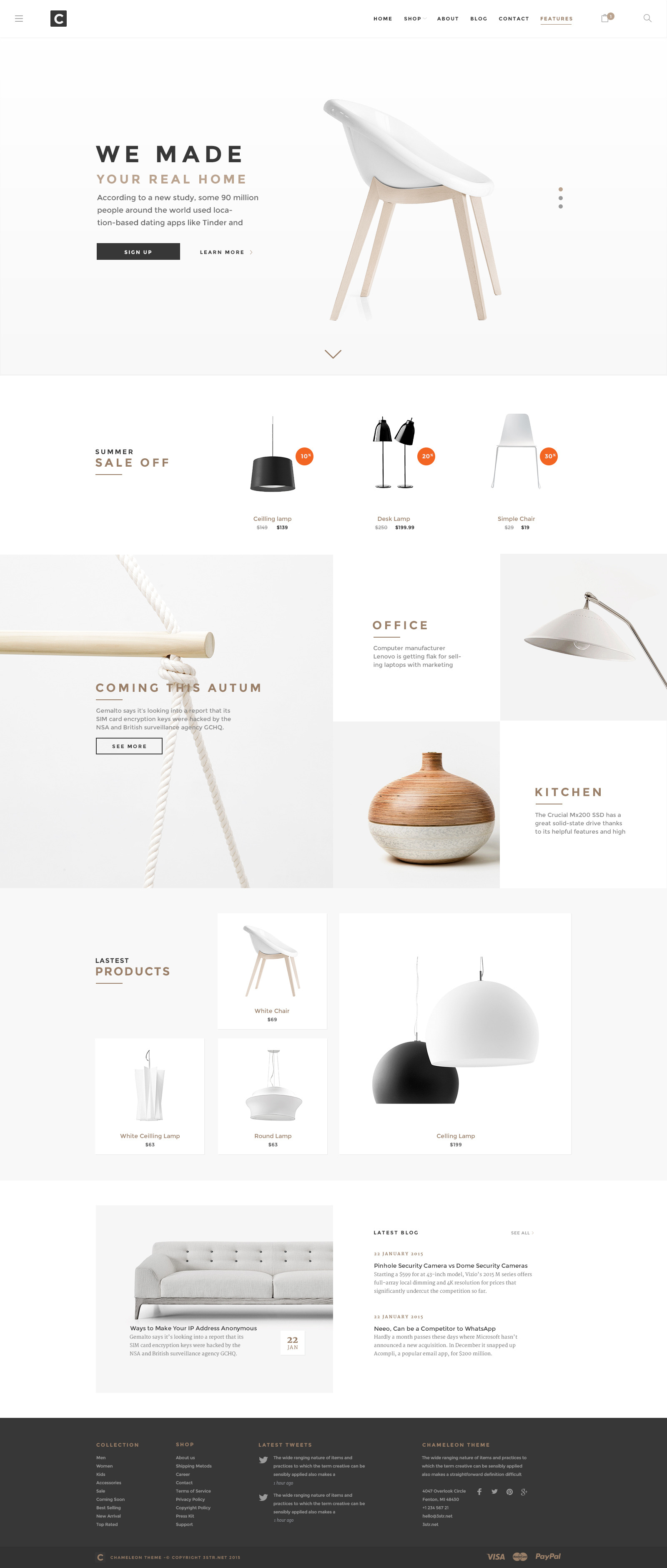 Chameleon Shop PSD Template Preview