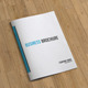 Bifold Business Brochure-8 Pages