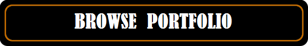 BROWSE-PORTFOLIO-2