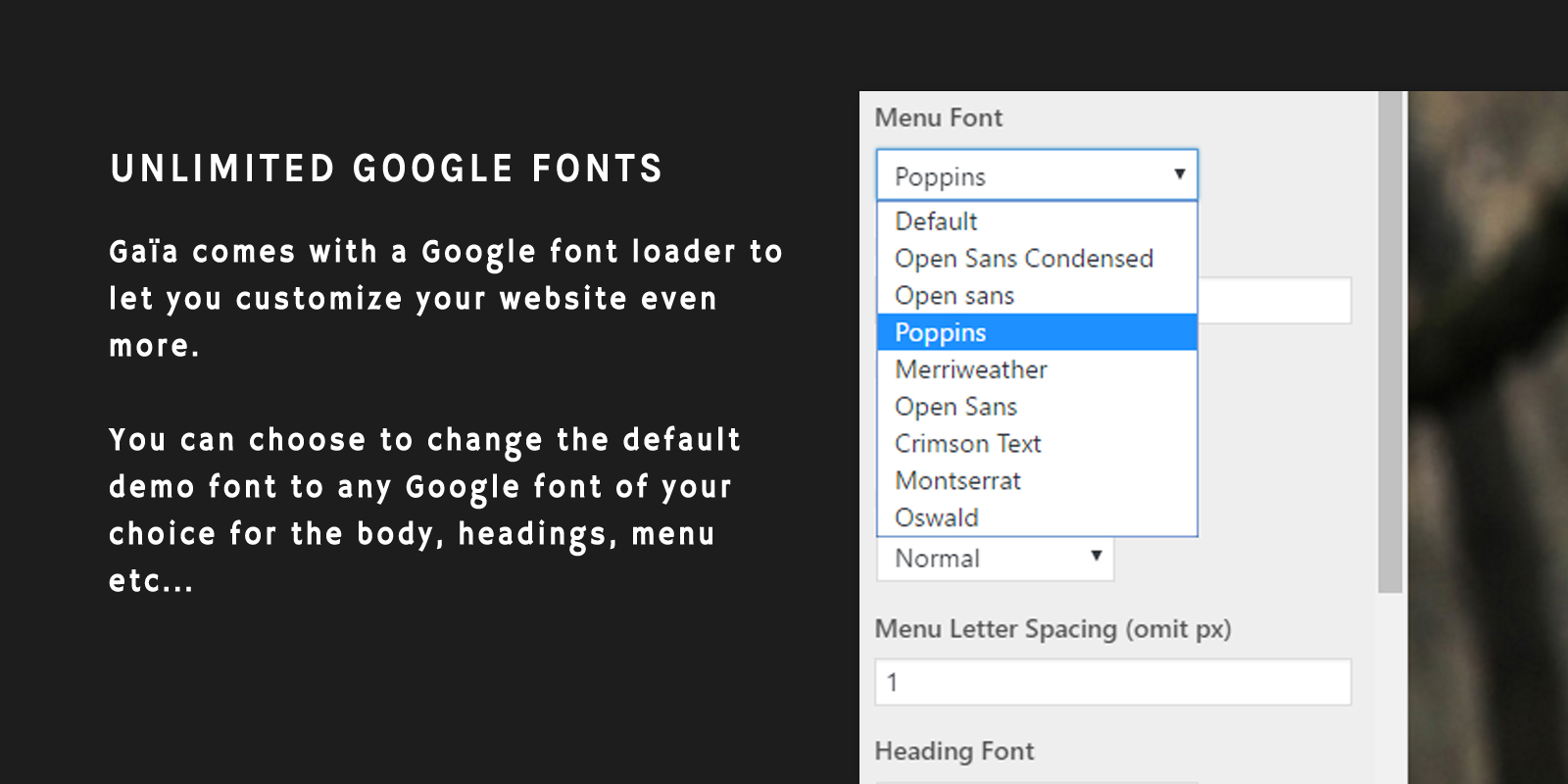 Unlimited Google Fonts