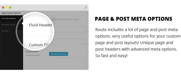 Post & Page Meta Options