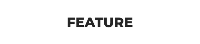Feature
