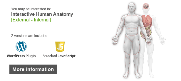 Interactive Human Body Organs Diagram by Art101 | CodeCanyon