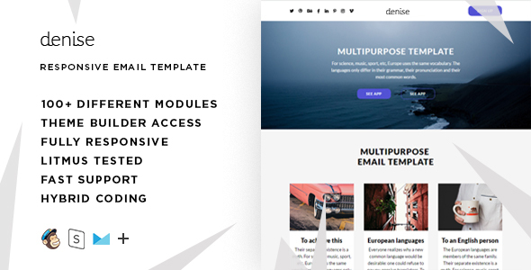 Carol – 100+  Responsive Modules + StampReady, MailChimp & CampaignMonitor compatible files - 4