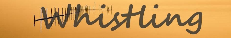 Drive Energy Sport - 7