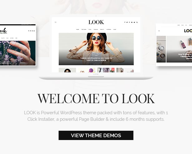 look wordpress theme introduction
