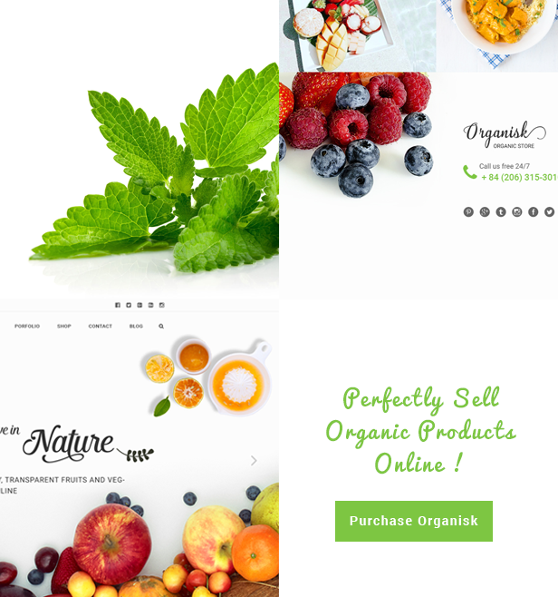 Organisk - Multipurpose Organic WooCommerce Theme - 10