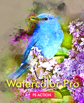 Watercolor portfolio