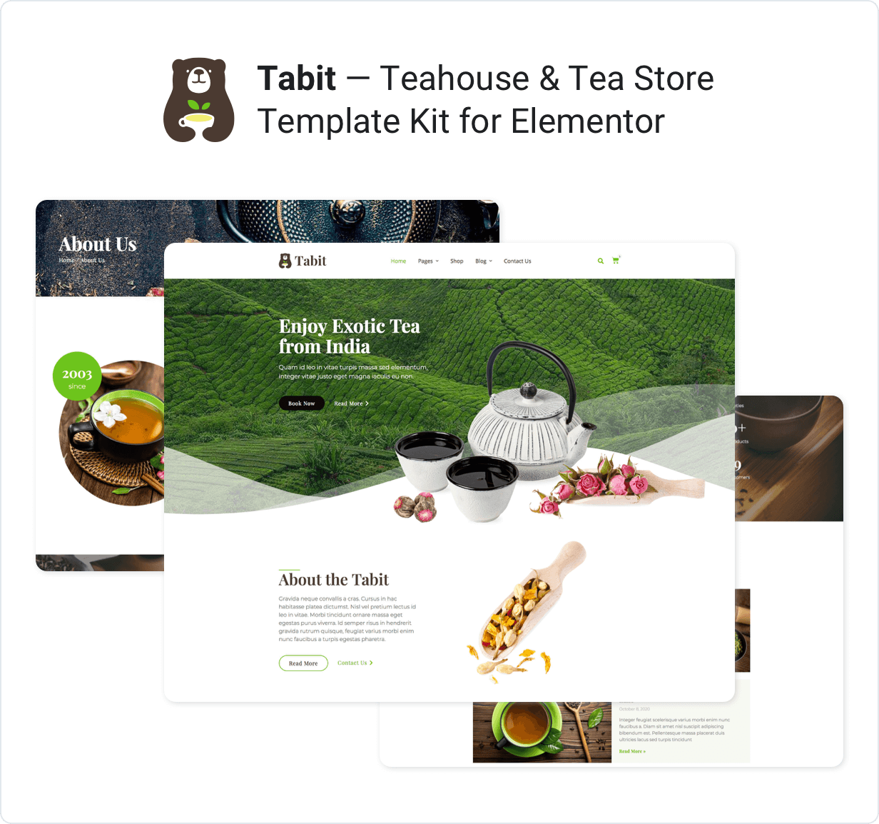 Tabit - presentation