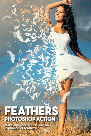 feathers