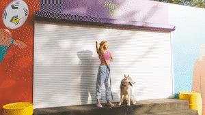 Paper Transitions | Big Pack - 34