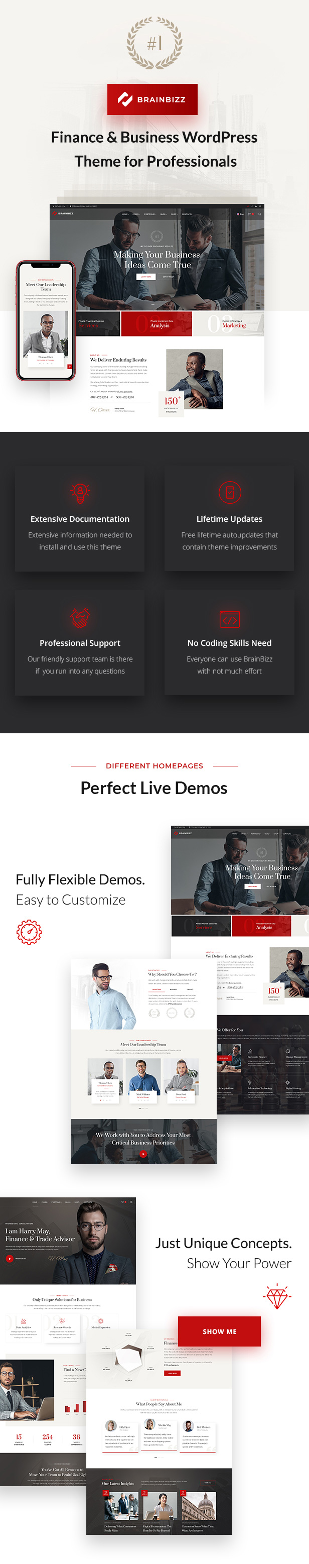 BrainBizz - Finance & Business WordPress Theme - 2