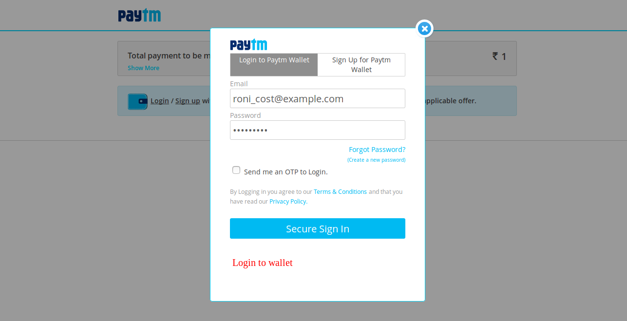 Portefeuille Paytm magento 2 extension - 2