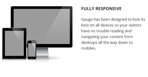 Gauge: Multi-Purpose Review Theme -1