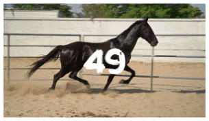 Brush Transitions - 49