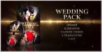 Wedding By Dimka4d Videohive