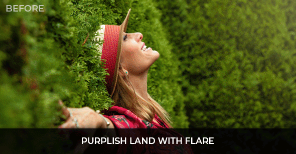 Purplish-Land-with-Flare