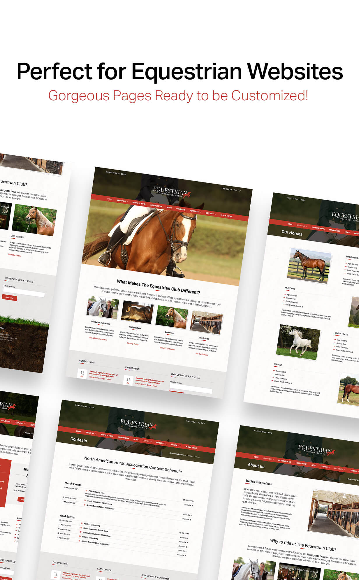 Equestrian - Tema WordPress Cavalos e Estábulos - 4