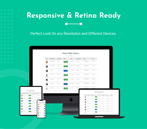 Responsive Design - Datalentor