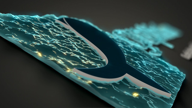 Water Logo Reveal - 5