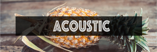 acoustic-01