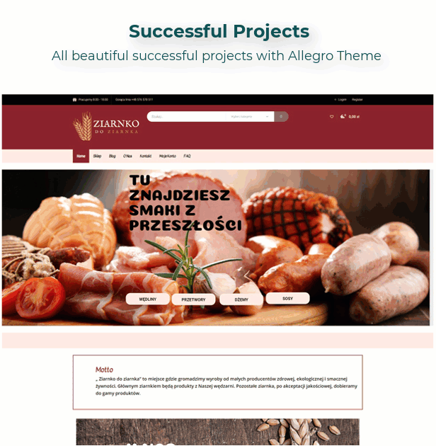 Allegro Equipment Elementor WordPress Successful Projects