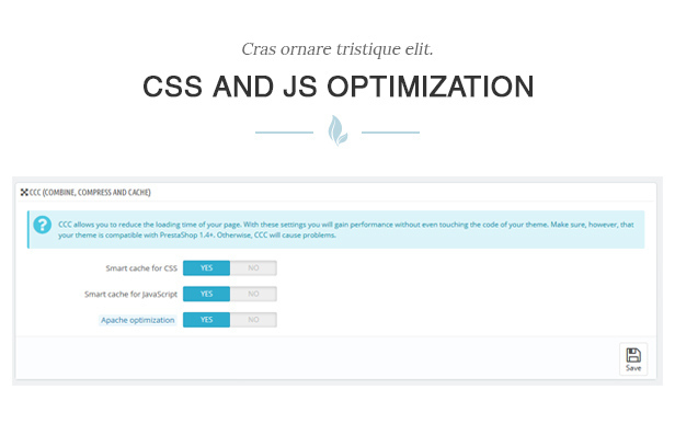 des_20_css_js_optimization