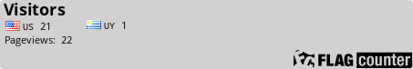 Flag Counter