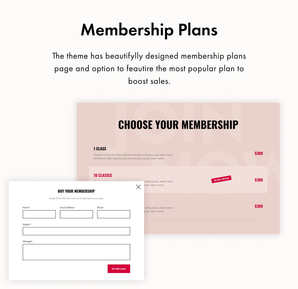 Formie WordPress Theme Presentation Image