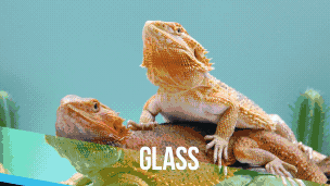 Glass Transitions - 5