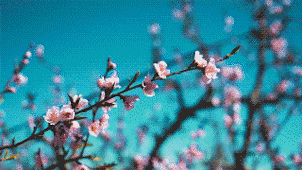 Basic Grid Transitions - 5