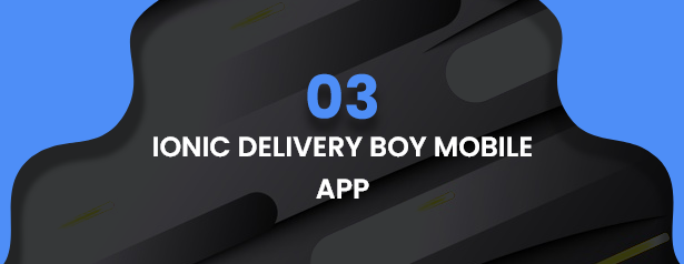 Best Ecommerce Solution with Delivery App For Grocery, Food, Pharmacy, Any Stores / Laravel + IONIC5 - 43