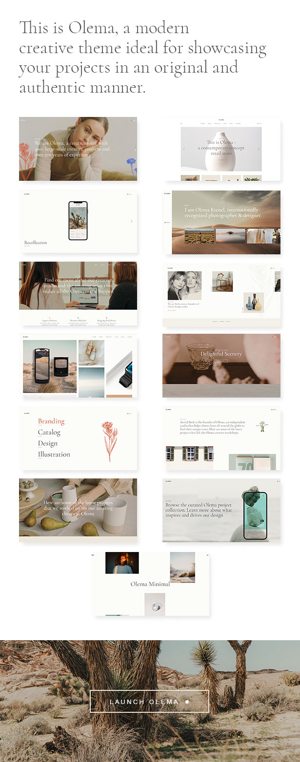 Olema - Creative Agency WordPress Theme - 1