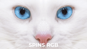 Modern Transitions | For Premiere PRO - 34